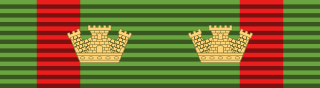 The ribbon of the Grand Officer medal of the Order of Merit, the Italian Republic